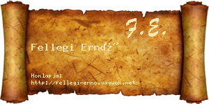 Fellegi Ernő névjegykártya